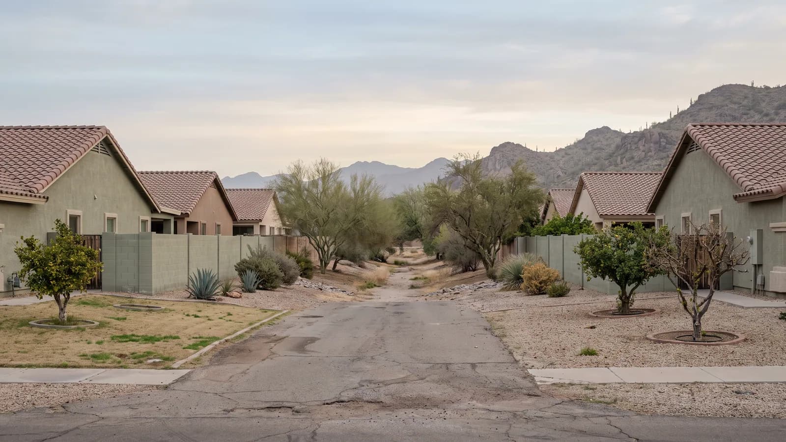 Quiet residential street on the northern edge of Peoria, Arizona at dawn, ending at a dry wash with saguaro-dotted ridges beyond