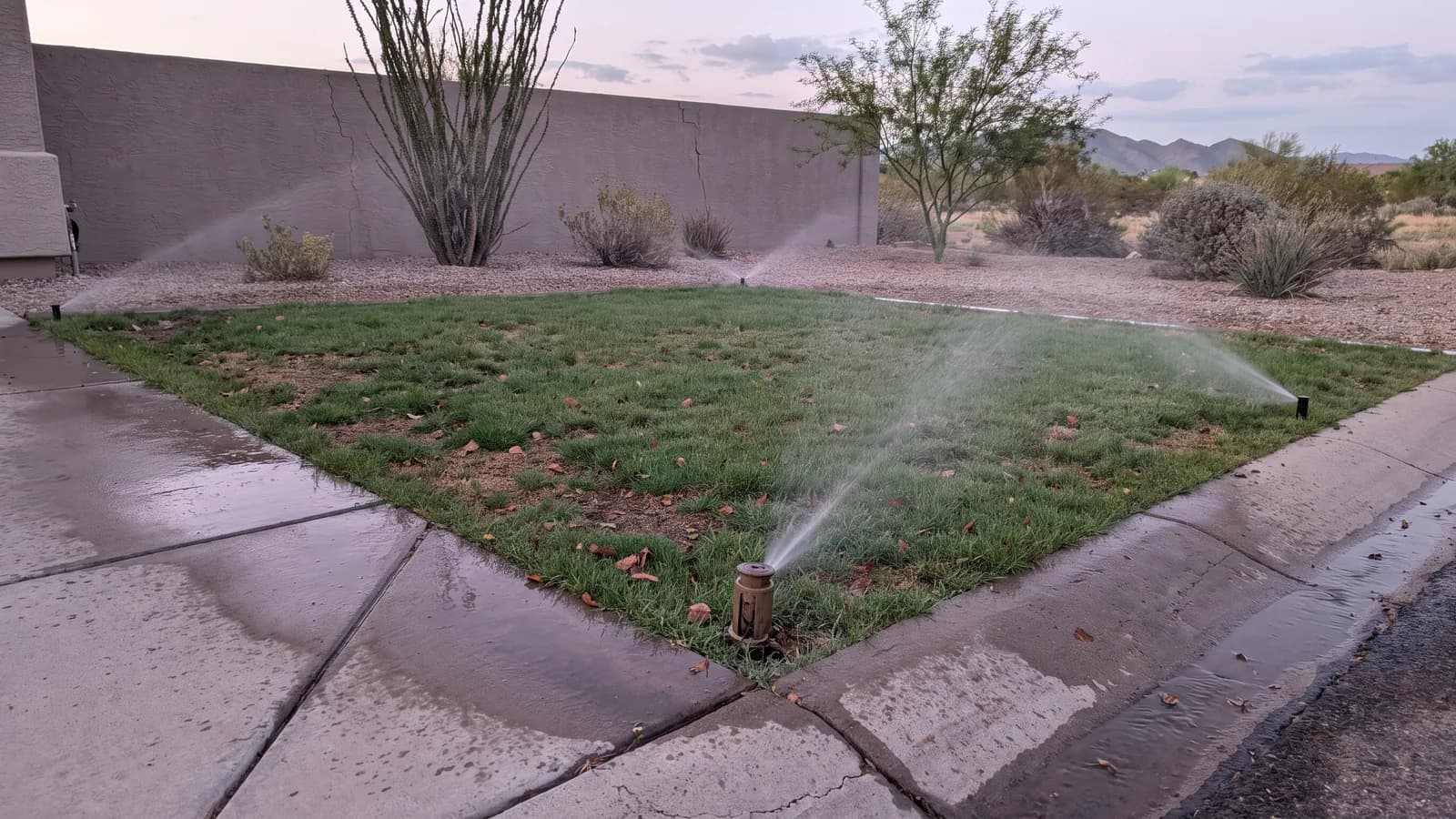 Misaligned spray head throwing water across a Peoria sidewalk, leaving a wet stripe that runs toward the curb