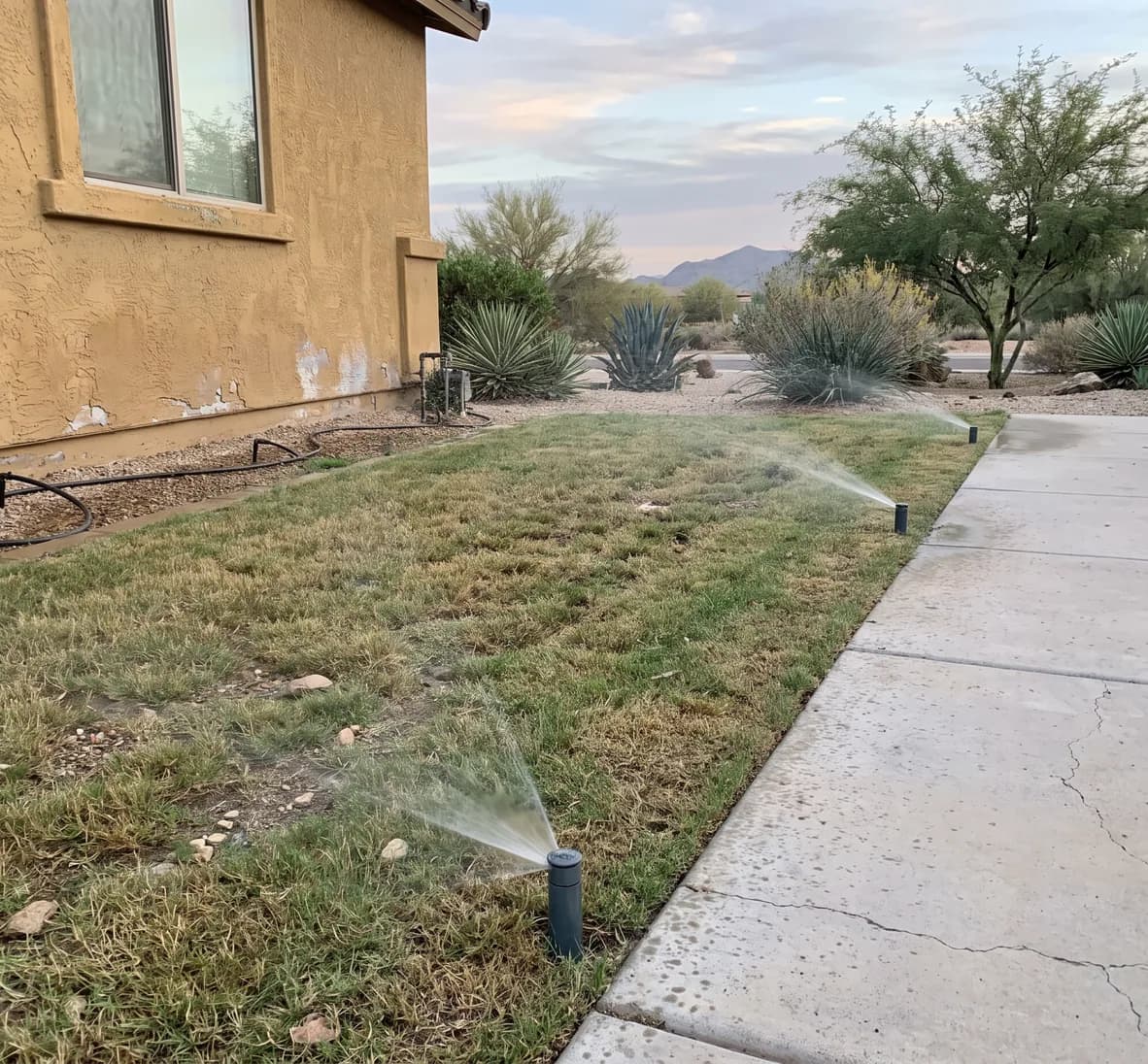 Three spray heads running head to head on a narrow sloping lawn strip with the walkway beside it left dry